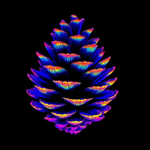 Minimalist graphic — C0786