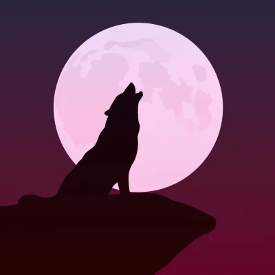 Minimalist graphic — C0798