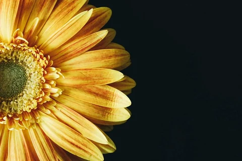 Free public domain CC0 photo.
