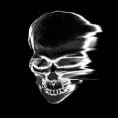 故障骷髅·黑白头像