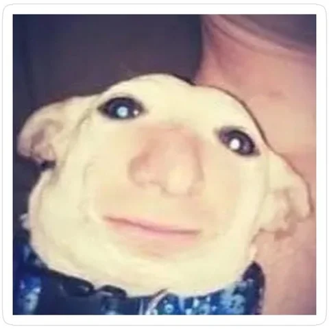 Dog with a Surreal Smile