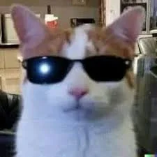 Orange-and-White Cat in Sunglasses