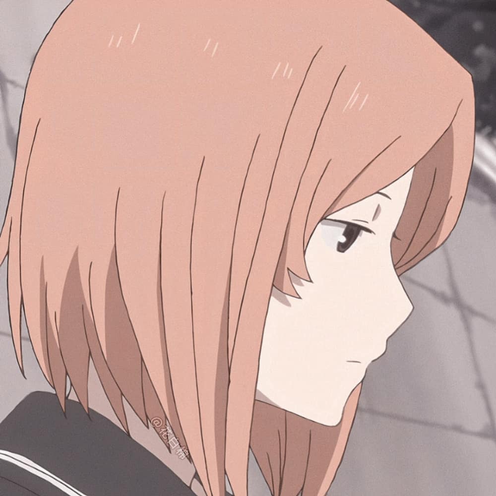 Natsume's Book of Friends — Warm Close-Ups · Izquierda