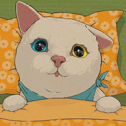 Black and White Cats in Cozy Blankets — Matching Avatars · Derecha