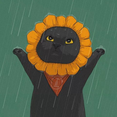 Black and White Cats Wearing Sunflowers — Matching Avatars · Izquierda