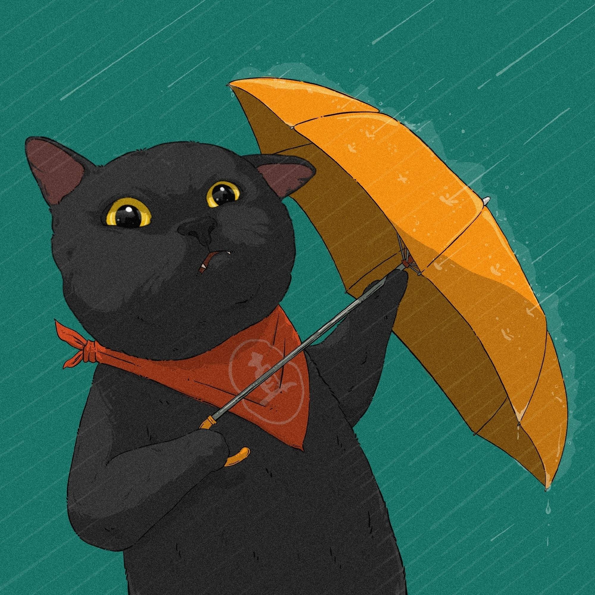 Black and White Cats Sharing Umbrellas — Matching Avatars · Left