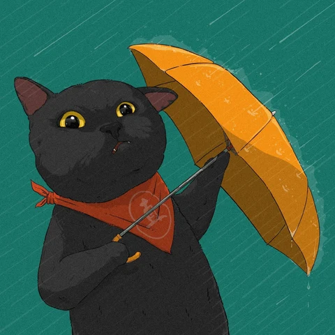 Black and White Cats Sharing Umbrellas — Matching Avatars · Izquierda