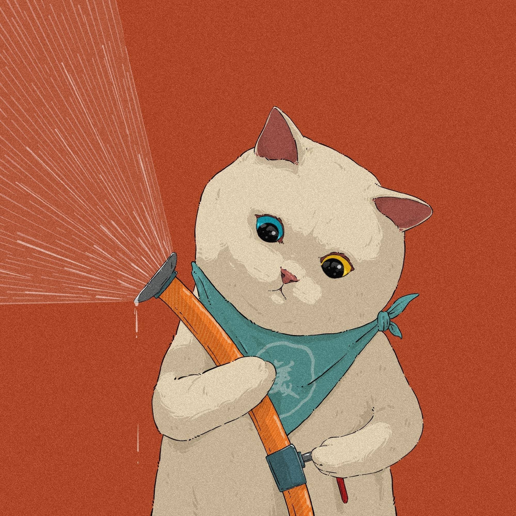 Black and White Cats Sharing Umbrellas — Matching Avatars · Right