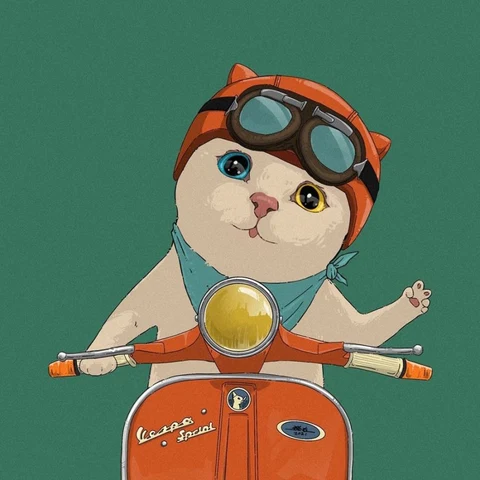 Black and White Cats on a Scooter — Matching Avatars · Izquierda
