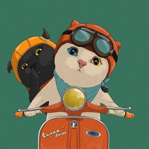 Black and White Cats on a Scooter — Matching Avatars · Derecha