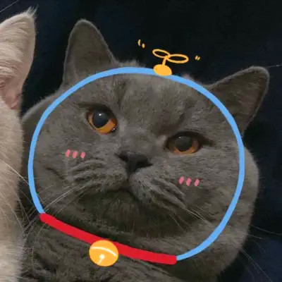 Cats with Doraemon Bell Doodles — Matching Avatars · Derecha