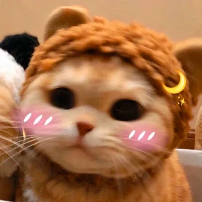 Cats in Panda and Lion Hats — Matching Avatars · Izquierda