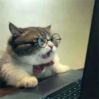眼镜猫咪办公 · 配套头像 · 左图