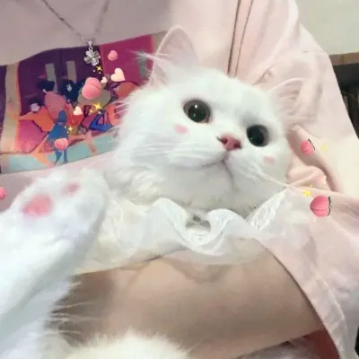 Cats in Bow Ties and Party Outfits — Matching Avatars · Izquierda