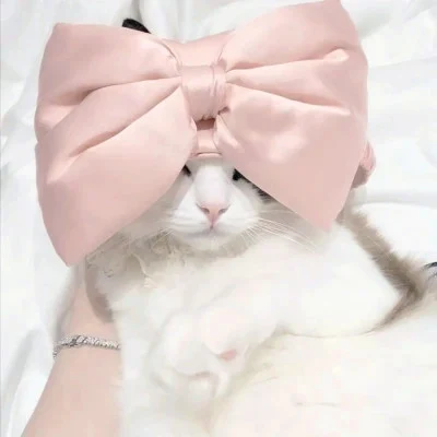Cats with Oversized Pink and Black Bows — Matching Avatars · Izquierda