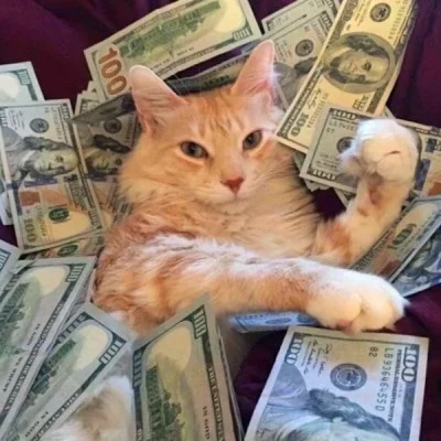 Lucky Cats Surrounded by Banknotes — Matching Avatars · Izquierda