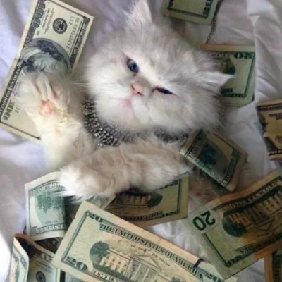 Lucky Cats Surrounded by Banknotes — Matching Avatars · Derecha