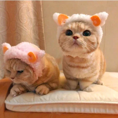 Cats Wearing Fluffy Lamb-Ear Hats — Matching Avatars · Derecha