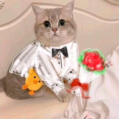 Cat Bride and Groom — Matching Avatars · Izquierda