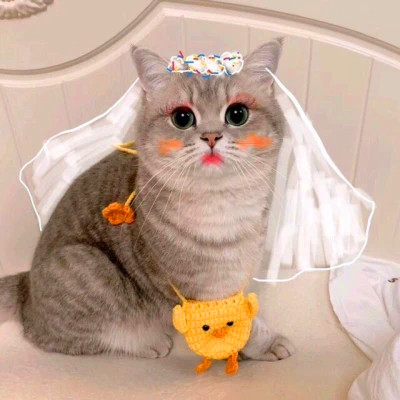 Cat Bride and Groom — Matching Avatars · Derecha