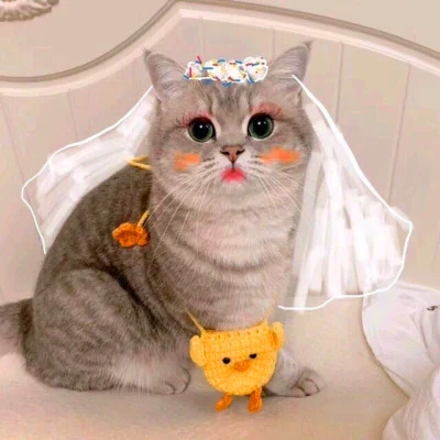 Cat Bride and Groom — Matching Avatars · Derecha