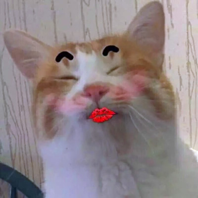 Cats with Lipstick-Kiss Stickers — Matching Avatars · Left
