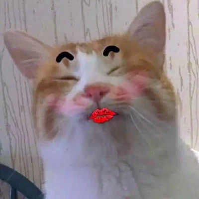Cats with Lipstick-Kiss Stickers — Matching Avatars · Left