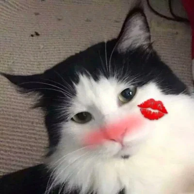 Cats with Lipstick-Kiss Stickers — Matching Avatars · Right