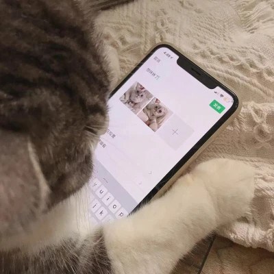 Cats Sending Phone Messages — Matching Avatars · Right