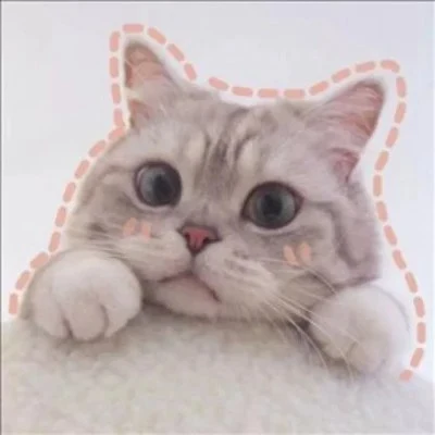 Cats Framed with Playful Red Doodles — Matching Avatars · Left