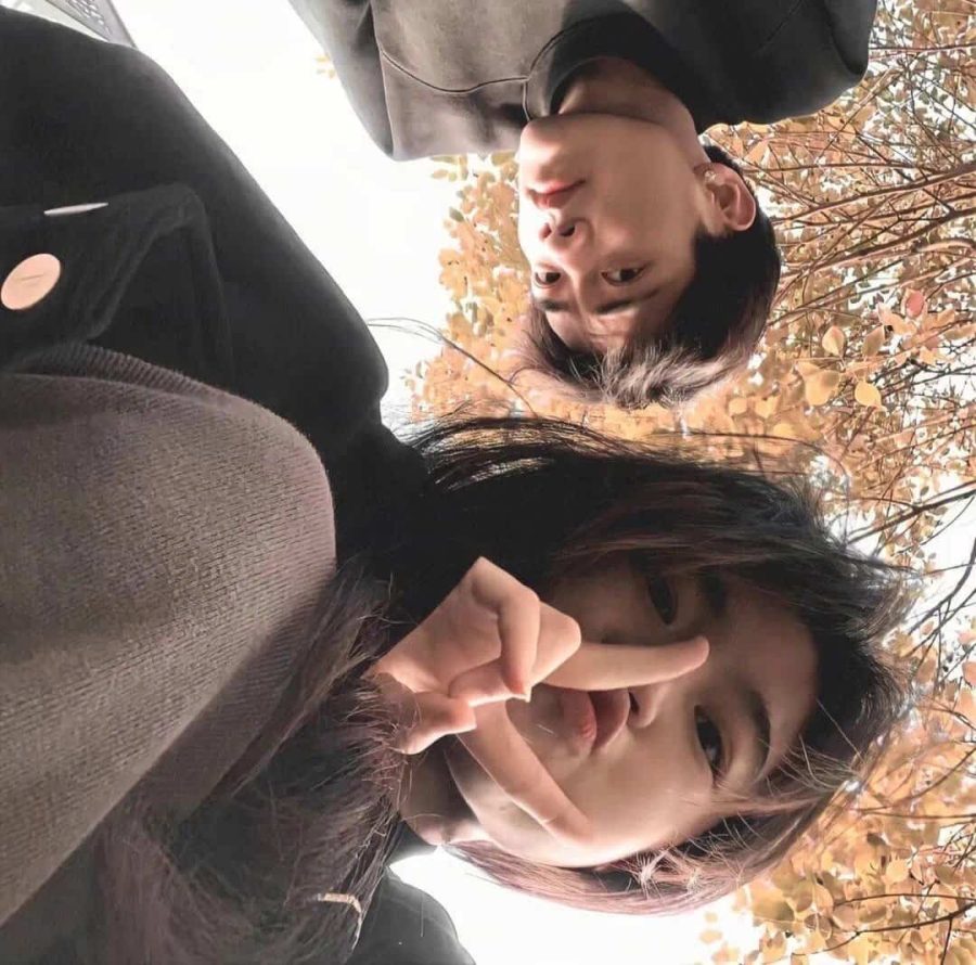 Looking Up Beneath Autumn Trees — Matching Avatars · Left