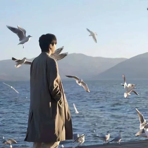 Seagulls and a Seaside Wedding Dress — Matching Avatars · Derecha