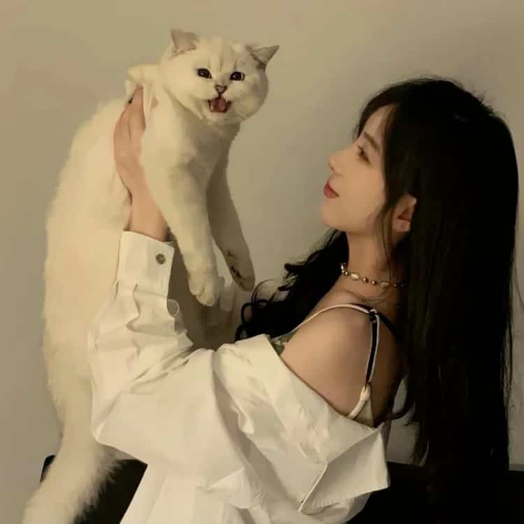 Holding Our Cat Together — Matching Avatars · Left