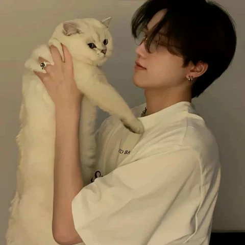 一起抱猫 · 配套头像 · 右图