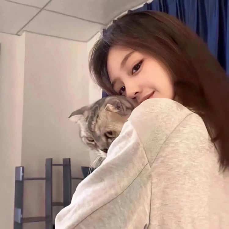 把猫抱在肩头 · 配套头像 · 左图