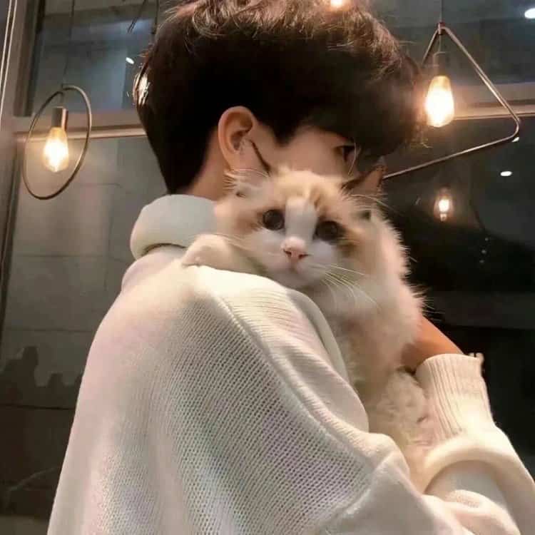 把猫抱在肩头 · 配套头像 · 右图