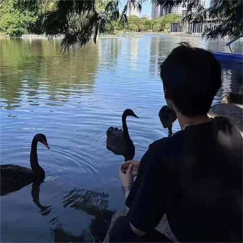 Watching Swans by the Lake — Matching Avatars · Right