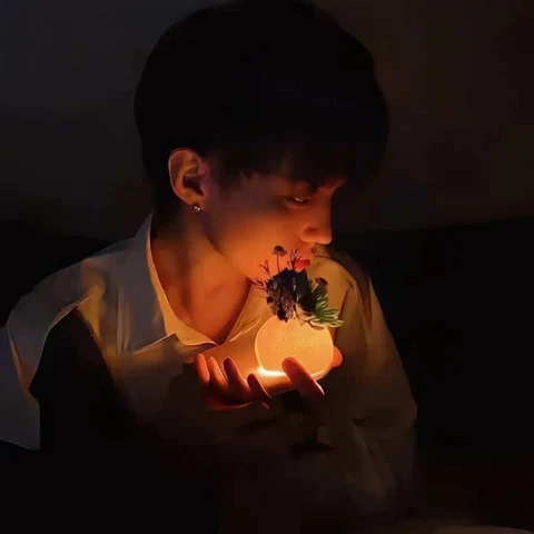 抱着月亮灯 · 配套头像 · 右图