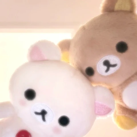 Rilakkuma & Korilakkuma — Soft Pink and Brown Cuddles · Izquierda
