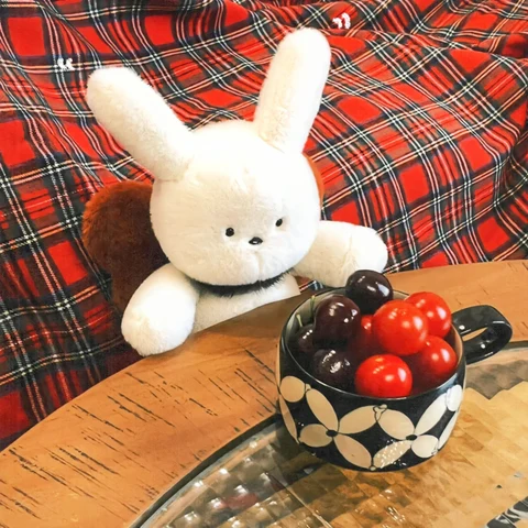 Bunny and Bear's Checkered Sofa Tea Break — Matching Avatars · Izquierda