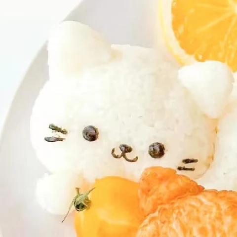 橘子猫饭团搭档 · 配套头像 · 左图