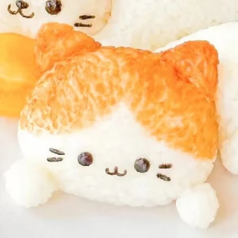 橘子猫饭团搭档 · 配套头像 · 右图
