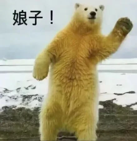 啊哈娘子对暗号 · 配套头像 · 右图