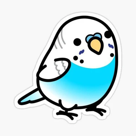 Blue and White Budgie · S110