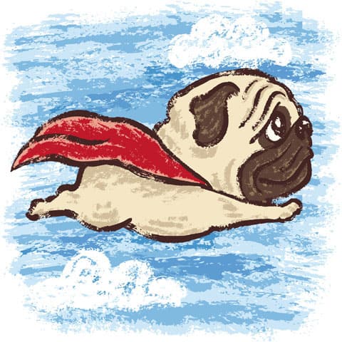 Pug in a Red Scarf · S115