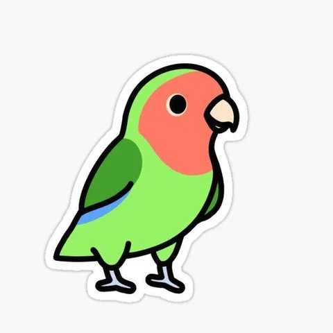 Green Lovebird · S137