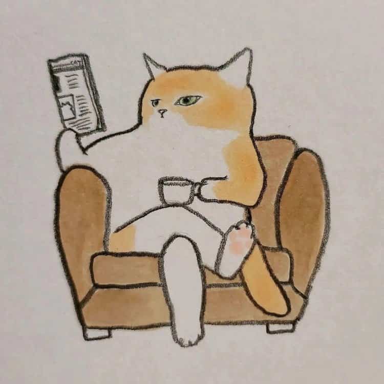 Cat on a Sofa · S144