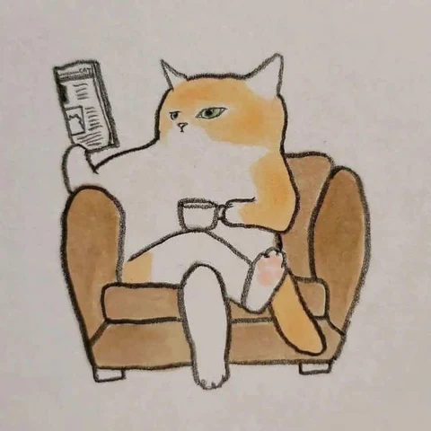 沙发猫咪 · S144