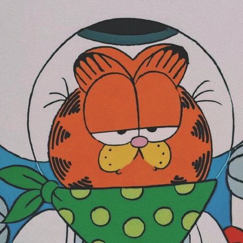 Garfield · Garfield · S171