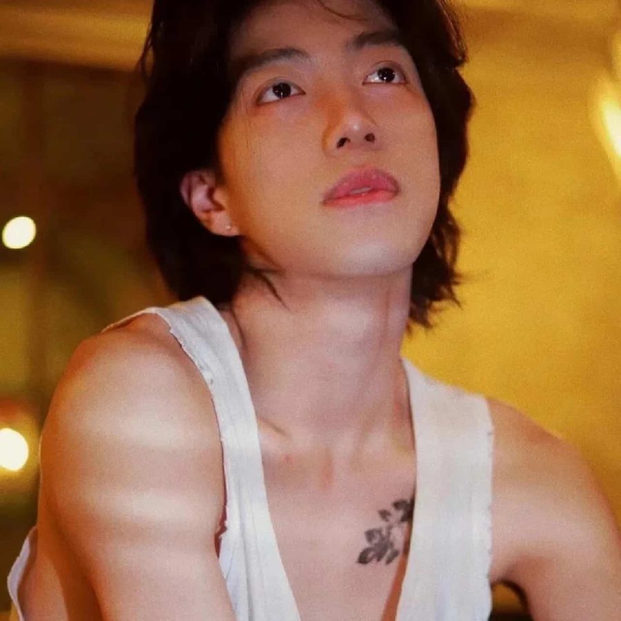 Warm Amber Light · S254